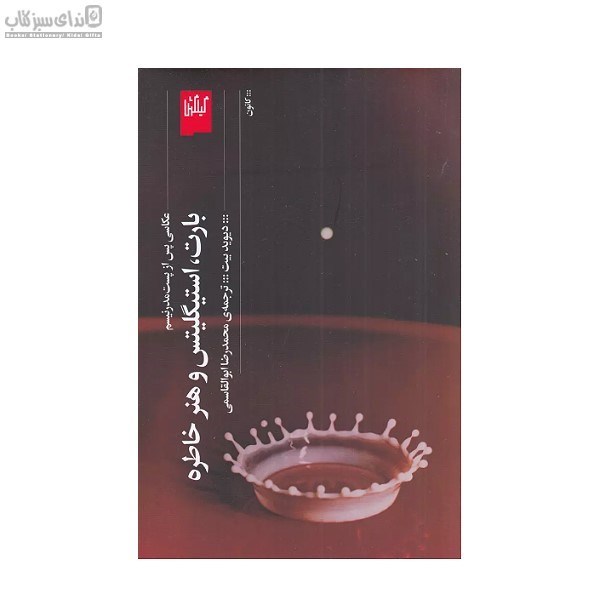 تصویر  بارت استيگليتس و هنر خاطره (عكاسي پس از پست مدرنيسم)
