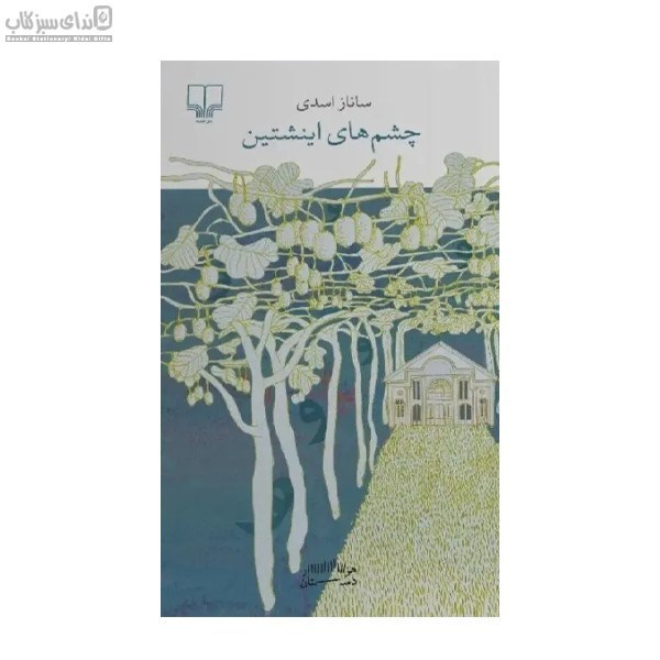 تصویر  چشم‌هاي اينشتين