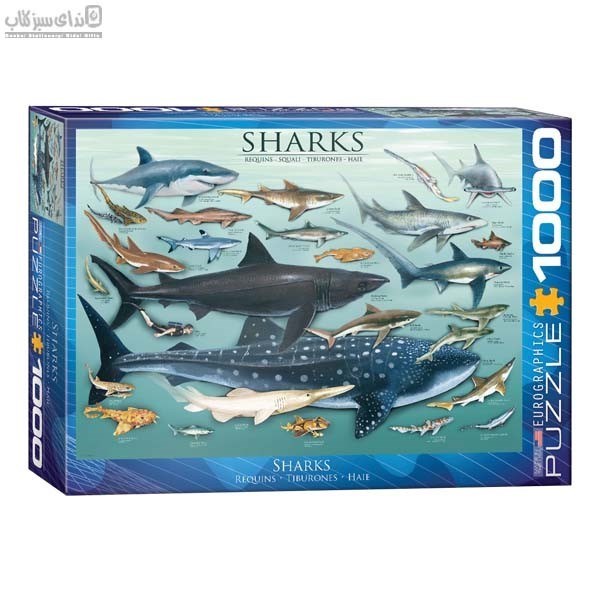 تصویر  1000 تكه Sharks 6000-0079