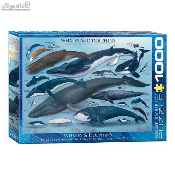 تصویر  1000 تكه Whales & Dolphins 6000-0082