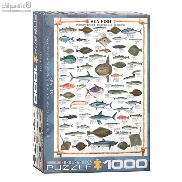 تصویر  1000 تكه Sea Fish 6000-0313