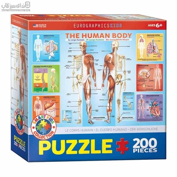 تصویر  200 تكه 1000-6200 The Human Body